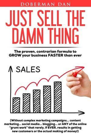 کتاب Just Sell the Damn Thing (فقط لعنتی بفروشش) نسخه انگلیسی PDF | شاون ووسلر