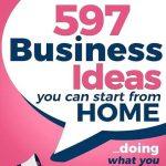 کتاب 597 Business Ideas You Can Start from Home Doing What You Love! (597 ایده کسب‌وکار که می‌توانید از خانه با انجام کاری که دوست دارید شروع کنید) نسخه انگلیسی PDF