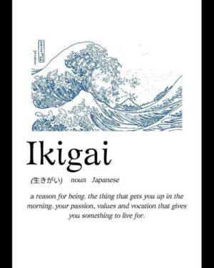 کتاب What Is the Japanese Meaning of Ikigai? (معنای ژاپنی ایکیگای چیست؟) نسخه انگلیسی PDF