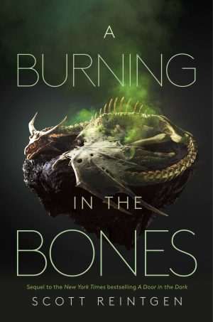 کتاب A Burning in the Bones (آتشی در استخوان‌ها) نسخه انگلیسی PDF | اسکات رینتگن
