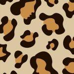 کتاب A Leopard-Skin Hat (کلاه پوست پلنگ) نسخه انگلیسی PDF | آن سر