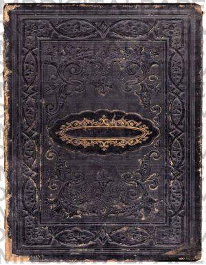 کتاب Antique (عتیقه) نسخه انگلیسی PDF | Seth Panitch