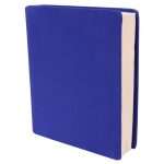 کتاب Blud (بلاد) نسخه انگلیسی PDF | ریچل مک‌کیبنز