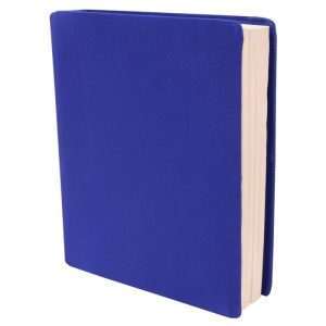 کتاب Blud (بلاد) نسخه انگلیسی PDF | ریچل مک‌کیبنز