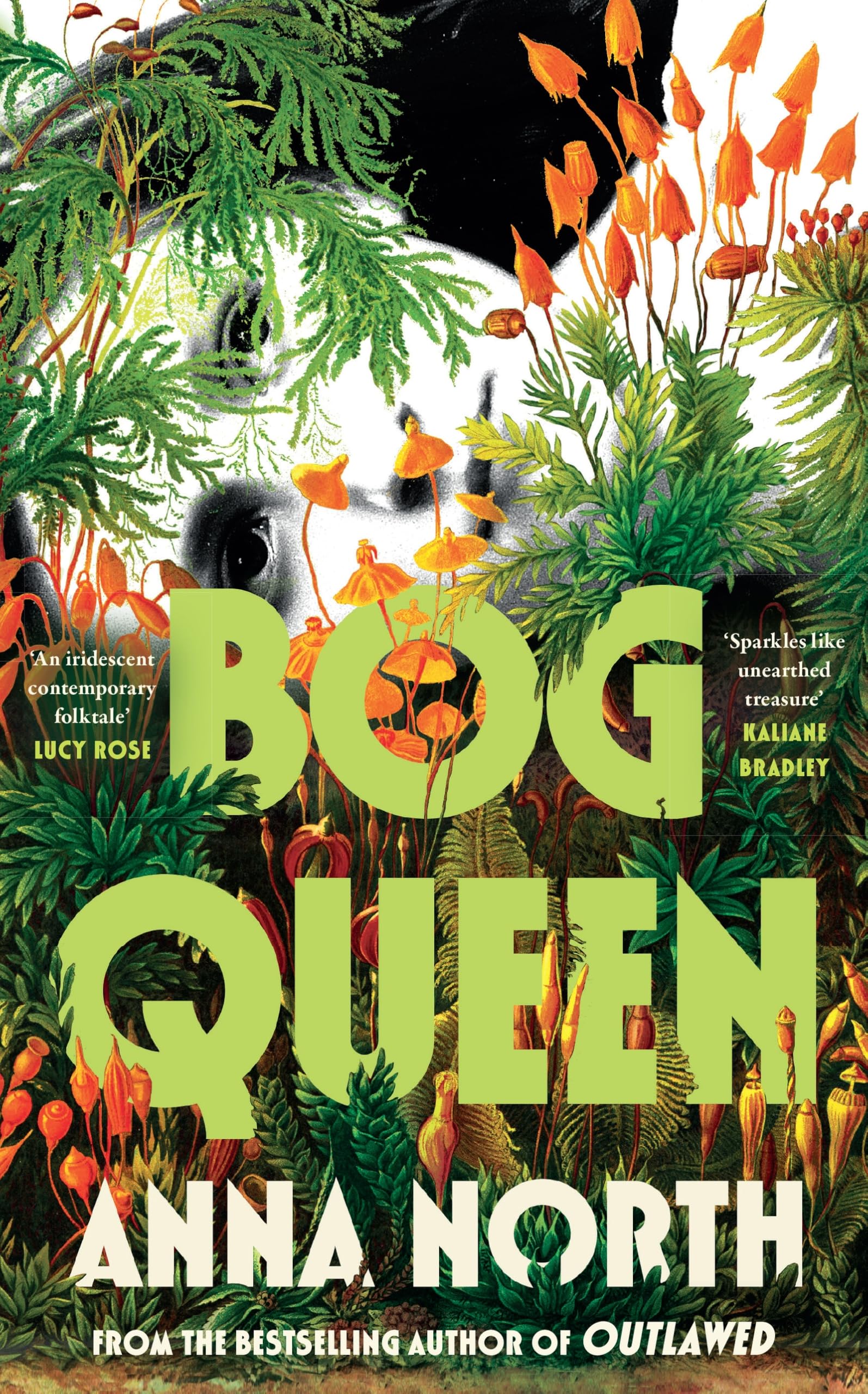 کتاب Bog Queen (ملکه باتلاق) نسخه انگلیسی PDF | آنا نورث کتاب Bog Queen (ملکه باتلاق) نسخه انگلیسی PDF | آنا نورث
