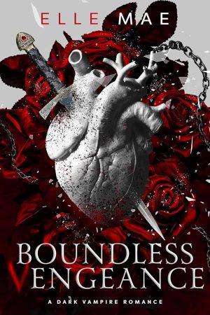 کتاب Boundless Vengeance (انتقام بی‌پایان) نسخه انگلیسی PDF | Elle Mae