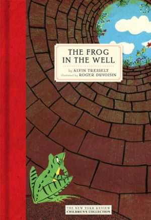 کتاب Frog in a Well (قورباغه در چاه) نسخه انگلیسی PDF | INDIA MILLAR