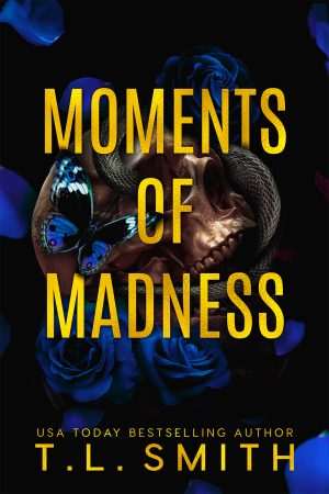 کتاب Moments of Madness (لحظات جنون) نسخه انگلیسی PDF | T. L. Smith (تی. ال. اسمیت)