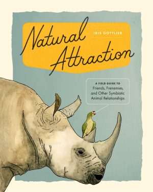 کتاب Natural Attraction (جذابیت طبیعی) نسخه انگلیسی PDF | ریچارد لا روئینا