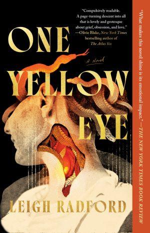 کتاب One Yellow Eye (یک چشم زرد) نسخه انگلیسی PDF | لی رادفورد