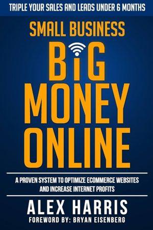 کتاب Small Business, Big Money Online (کسب‌وکار کوچک، درآمد بزرگ آنلاین) نسخه انگلیسی PDF