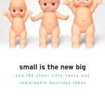 کتاب Small Is the New Big (کوچک، بزرگِ جدید است) نسخه انگلیسی PDF | ست گادین
