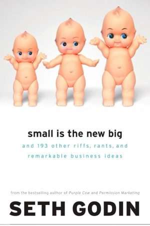 کتاب Small Is the New Big (کوچک، بزرگِ جدید است) نسخه انگلیسی PDF | ست گادین