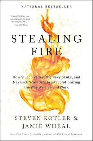 کتاب Stealing Fire (دزدیدن آتش) نسخه انگلیسی PDF | استیون کاتلر و جیمی ویل