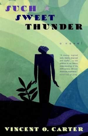کتاب Such Sweet Thunder (چنین تندر شیرینی) نسخه انگلیسی PDF | Vincent O. Carter (وینسنت او. کارتر)