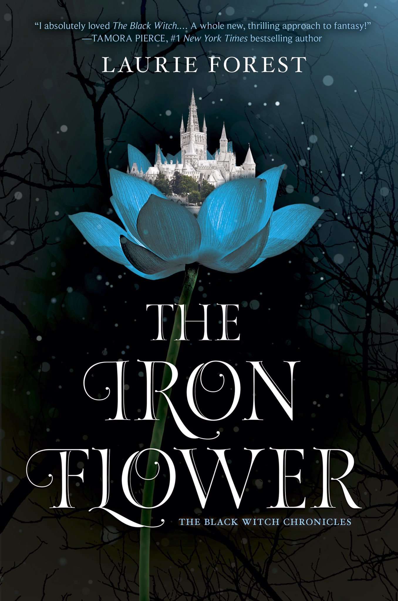 کتاب The Iron Flower (گل آهنین) نسخه انگلیسی PDF | Laurie Forest (لوری فارست) کتاب The Iron Flower (گل آهنین) نسخه انگلیسی PDF | Laurie Forest (لوری فارست)