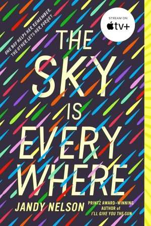 کتاب The Sky Is Everywhere (آسمان همه‌جا هست) نسخه انگلیسی PDF | جندی نلسون
