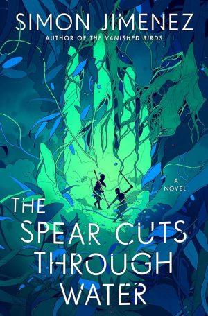 کتاب The Spear Cuts Through Water (نیزه از میان آب می‌گذرد) نسخه انگلیسی PDF | سایمون خیمنز