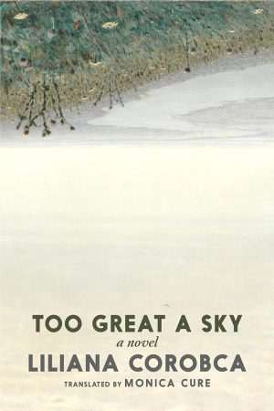 کتاب Too Great a Sky (آسمانی بیش از حد بزرگ) نسخه انگلیسی PDF | Liliana Corobca