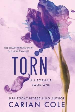 کتاب Torn (پاره‌شده) نسخه انگلیسی PDF | Jennifer L. Armentrout