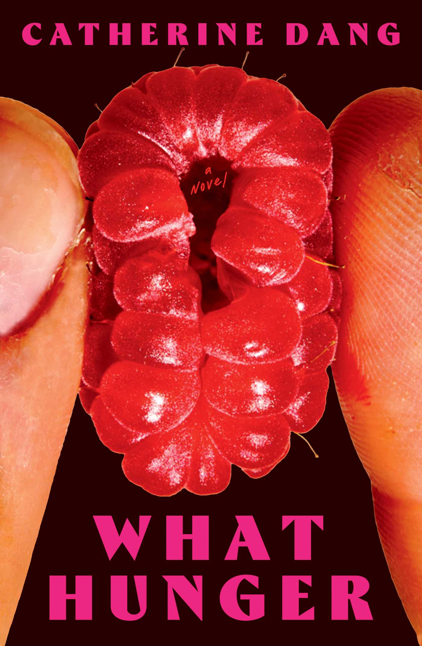کتاب What Hunger نسخه انگلیسی PDF | Catherine Dang کتاب What Hunger نسخه انگلیسی PDF | Catherine Dang
