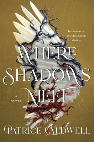 کتاب Where Shadows Meet (جایی که سایه‌ها به هم می‌رسند) نسخه انگلیسی PDF | پاتریس کالدول