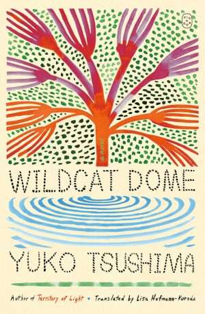 کتاب Wildcat Dome (گنبد وایلدکت) نسخه انگلیسی PDF | Yuko Tsushima (یوکو تسوشیما)